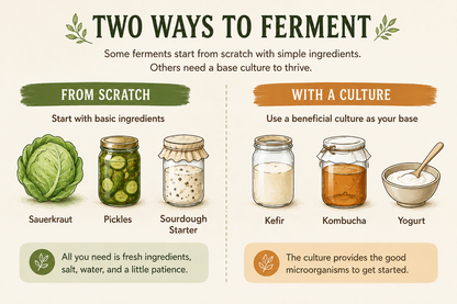The Complete Guide to Home Fermentation