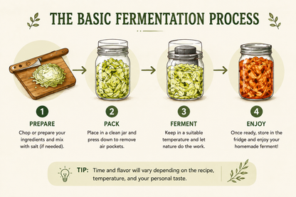 The Complete Guide to Home Fermentation